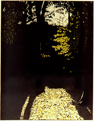 intaglio with aquatint, 44 x 33 cm, 1999