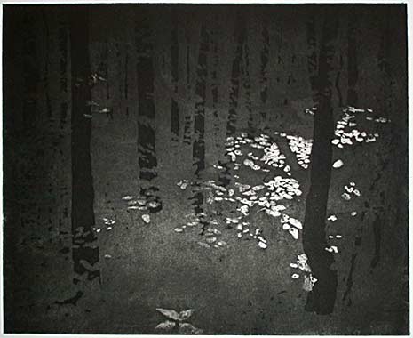 intaglio with aquatint, 24 x 30 cm, 2000