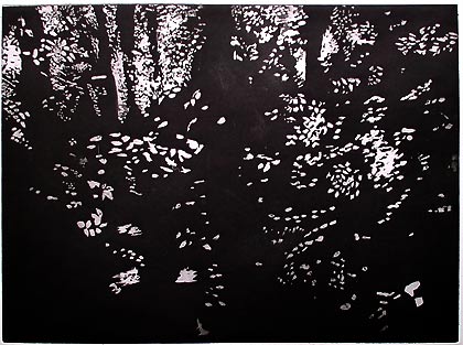 intaglio with aquatint, 29 x 40 cm, 2000