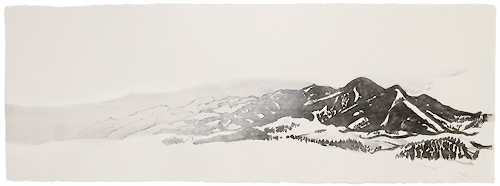 japanischer Holzschnitt, 33 x 97 cm, 2010