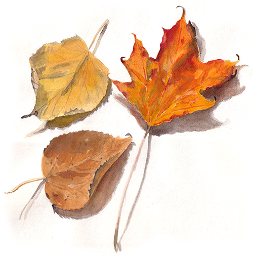 Autumn Leaves, watercolour, 42 x 27 cm, 2020