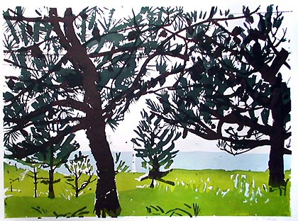 Cheju Do, Siebdruck, 30 x 42 cm, 1993