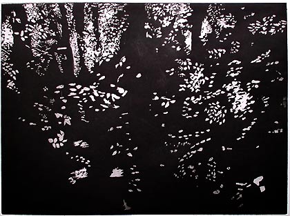 Radierung mit Aquatinta, 29 x 40 cm, 2000