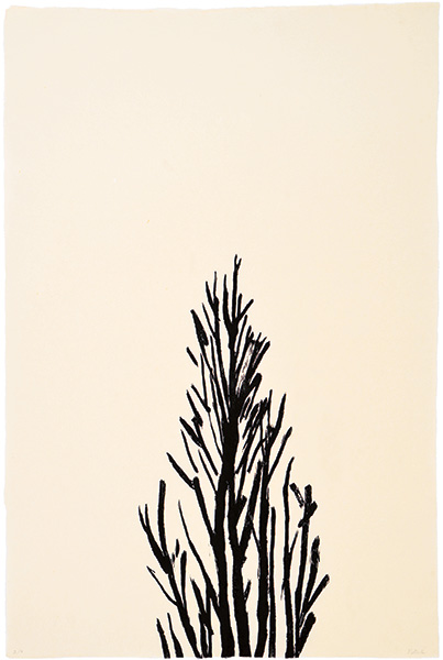 japanischer Holzschnitt, 73 x 55 cm, 2006