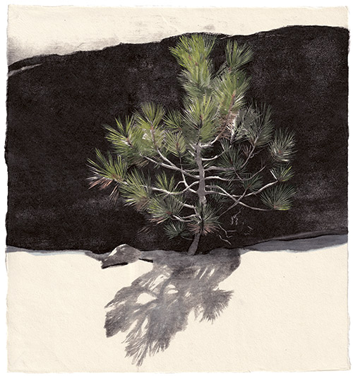 Junger Baum, japanischer Holzschnitt, 33 x 31 cm, 2021